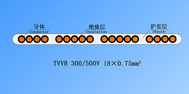 TVVBобεݵ