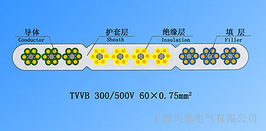 ޵TVVBӦнʺд